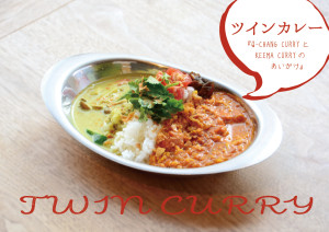 TWIN_CURRY
